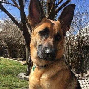 Meet your Posher, Deb